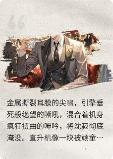 沈寂林修远林国栋是哪部小说的主角 沈寂林修远林国栋全文阅读