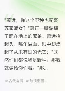 萧远苏婉儿是什么小说免费版阅读抖音热文