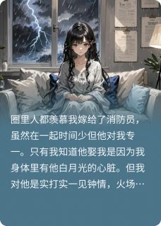 《夏之》完整版-阮颜江澜陆思安在线全文阅读