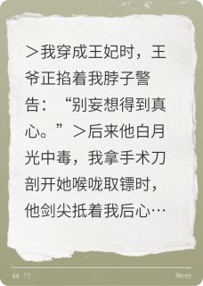 萧绝赵乾小说结局