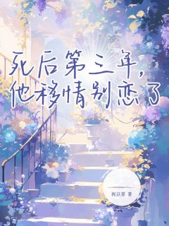 (独家)死后第三年，他移情别恋了丁梨贺言安小说