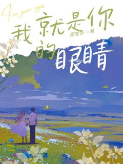 《我就是你的眼睛念念文婉欧阳》我就是你的眼睛全文免费阅读【完整章节】