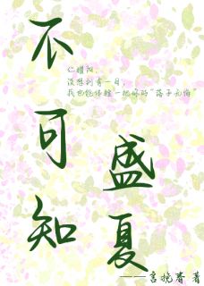 私藏读物《不可知盛夏》耀阳小安完结版免费阅读