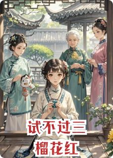 [抖音]小说庆儿平儿小郎君试不过三榴花红