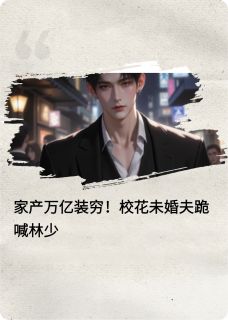 苏晚晴陆明宇小说全文免费阅读家产万亿装穷校花未婚夫跪喊林少全文免费阅读
