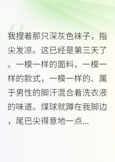 我的猫，好像比我还会谈恋爱